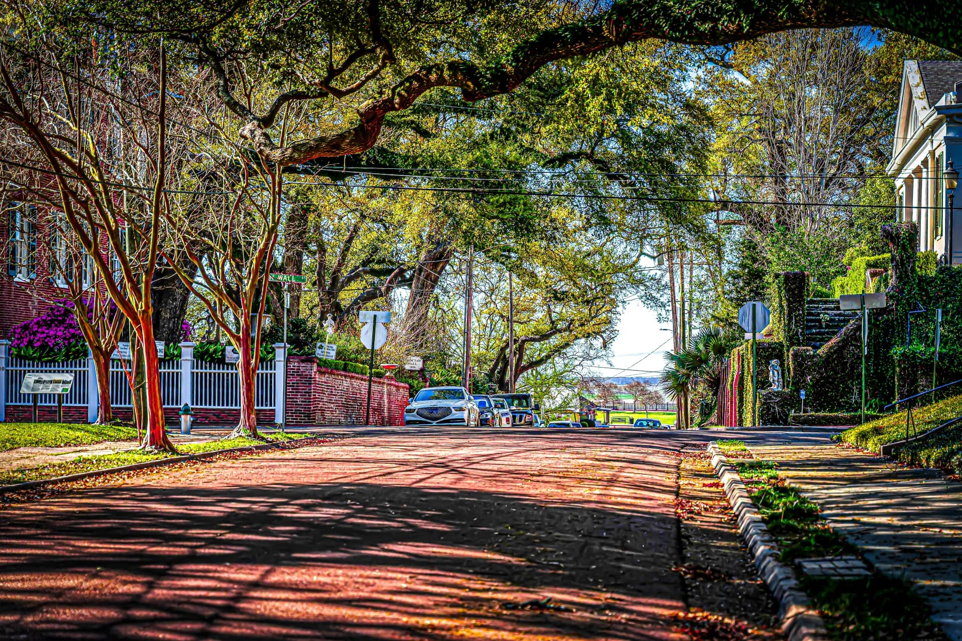 Brick street under live oak canopy in Natchez — azaleas, historic homes, dappled afternoon light