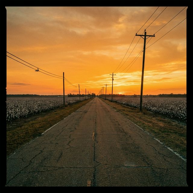 Delta highway stretching to the horizon